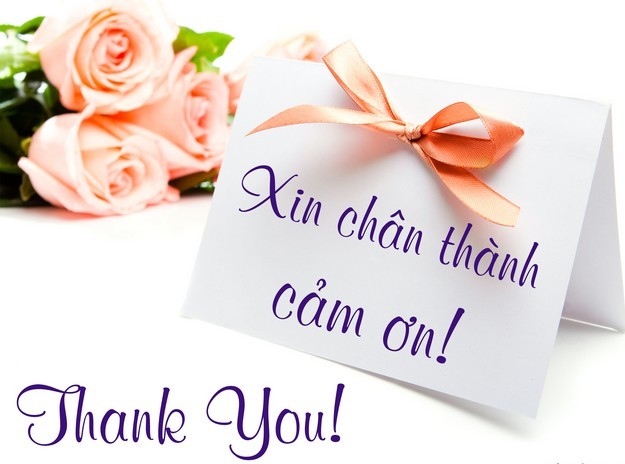 cám ơn hay cảm ơn, cảm ơn, cám ơn, tiếng Việt, sự phong phú của tiếng Việt
